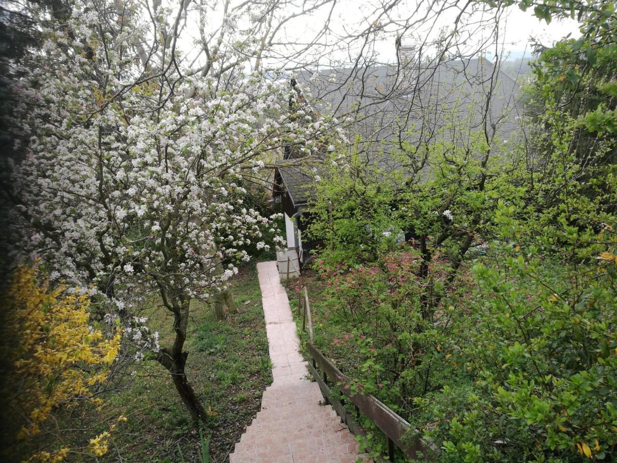 Holiday House Cervena Veza Piest'any Exterior foto